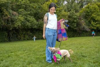 Fotogalería Actos 550 Aniversario Proclamación Isabel I de Castilla 39 Fotografía: Miguel Angel Fernández