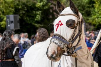 Fotogalería Actos 550 Aniversario Proclamación Isabel I de Castilla 265 Fotografía: Miguel Angel Fernández