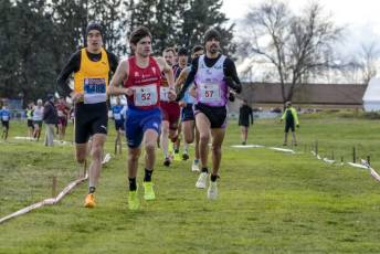 Fotogalería LII Cross Nacional de Cantimpalos 84 Fotografía: Miguel Angel Fernández