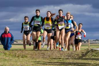 Fotogalería LII Cross Nacional de Cantimpalos 118 Fotografía: Miguel Angel Fernández