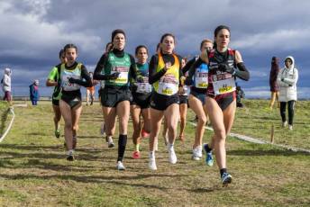 Fotogalería LII Cross Nacional de Cantimpalos 121 Fotografía: Miguel Angel Fernández