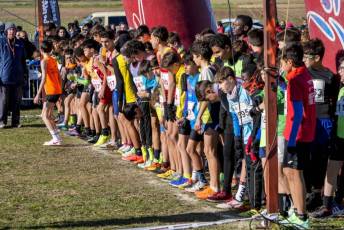 Fotogalería LII Cross Nacional de Cantimpalos 193 Fotografía: Miguel Angel Fernández