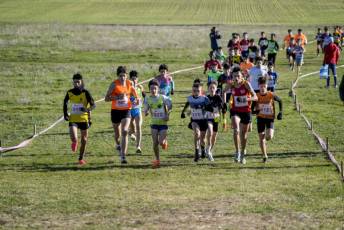 Fotogalería LII Cross Nacional de Cantimpalos 117 Fotografía: Miguel Angel Fernández