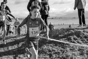 Fotogalería LII Cross Nacional de Cantimpalos 29 Fotografía: Miguel Angel Fernández