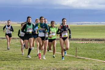 Fotogalería LII Cross Nacional de Cantimpalos 12 Fotografía: Miguel Angel Fernández