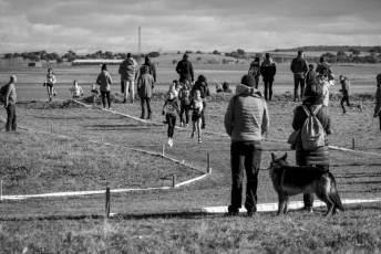 Fotogalería LII Cross Nacional de Cantimpalos 86 Fotografía: Miguel Angel Fernández