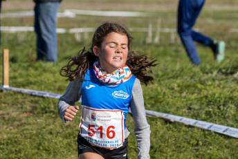Fotogalería LII Cross Nacional de Cantimpalos 147 Fotografía: Miguel Angel Fernández