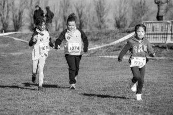 Fotogalería LII Cross Nacional de Cantimpalos 92 Fotografía: Miguel Angel Fernández