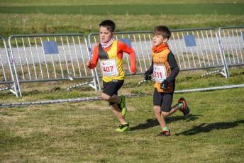 Fotogalería LII Cross Nacional de Cantimpalos 137 Fotografía: Miguel Angel Fernández