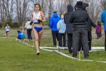 Fotogalería LII Cross Nacional de Cantimpalos 64 Fotografía: Miguel Angel Fernández