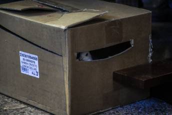 Fotogalería Fiesta de los Santos Inocentes en Juarros de Voltoya 82 Fotografía: Miguel Angel Fernández