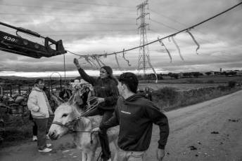 Fotogalería Carrera de Cintas en Otero de Herreros 63 Fotografía: Miguel Angel Fernández