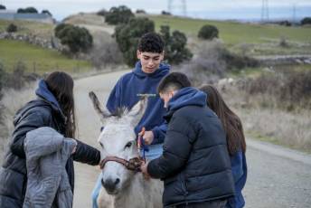Fotogalería Carrera de Cintas en Otero de Herreros 29 Fotografía: Miguel Angel Fernández