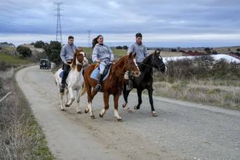 Fotogalería Carrera de Cintas en Otero de Herreros 14 Fotografía: Miguel Angel Fernández