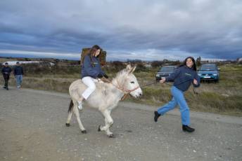 Fotogalería Carrera de Cintas en Otero de Herreros 16 Fotografía: Miguel Angel Fernández