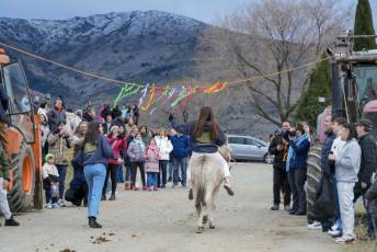 Fotogalería Carrera de Cintas en Otero de Herreros 44 Fotografía: Miguel Angel Fernández