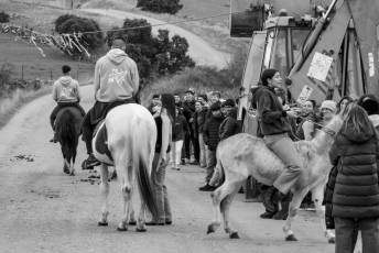 Fotogalería Carrera de Cintas en Otero de Herreros 66 Fotografía: Miguel Angel Fernández