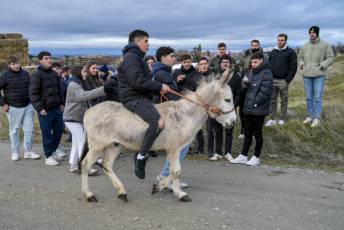 Fotogalería Carrera de Cintas en Otero de Herreros 43 Fotografía: Miguel Angel Fernández