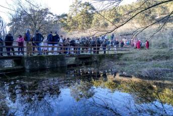 Fotogalería Chapuzón del Resfriado en San Rafael 43 Fotografía: Miguel Angel Fernández