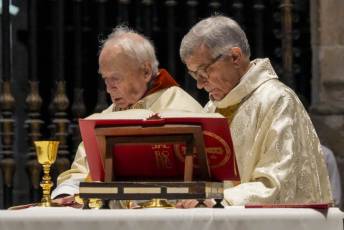 Fotogalería Misa de Despedida Obispo de Segovia 20 Fotografía: Miguel Angel Fernández