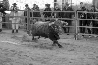 Fotogalería Fiestas San Sebastián Mártir en Villacastín 33 Fotografía: Miguel Angel Fernández