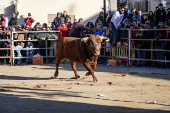 Fotogalería Fiestas San Sebastián Mártir en Villacastín 50 Fotografía: Miguel Angel Fernández