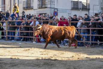 Fotogalería Fiestas San Sebastián Mártir en Villacastín 40 Fotografía: Miguel Angel Fernández