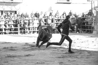 Fotogalería Fiestas San Sebastián Mártir en Villacastín 20 Fotografía: Miguel Angel Fernández