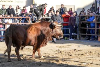 Fotogalería Fiestas San Sebastián Mártir en Villacastín 35 Fotografía: Miguel Angel Fernández