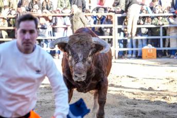 Fotogalería Fiestas San Sebastián Mártir en Villacastín 3 Fotografía: Miguel Angel Fernández