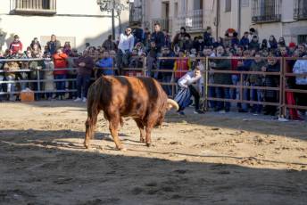 Fotogalería Fiestas San Sebastián Mártir en Villacastín 53 Fotografía: Miguel Angel Fernández