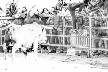 Fotogalería Fiestas San Sebastián Mártir en Villacastín 38 Fotografía: Miguel Angel Fernández