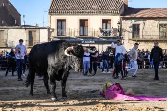 Fotogalería Fiestas San Sebastián Mártir en Villacastín 31 Fotografía: Miguel Angel Fernández