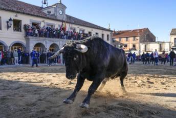 Fotogalería Fiestas San Sebastián Mártir en Villacastín 48 Fotografía: Miguel Angel Fernández