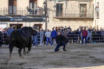 Fotogalería Fiestas San Sebastián Mártir en Villacastín 47 Fotografía: Miguel Angel Fernández