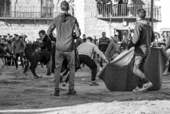 Fotogalería Fiestas San Sebastián Mártir en Villacastín 34 Fotografía: Miguel Angel Fernández