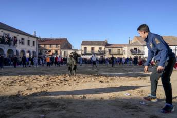 Fotogalería Fiestas San Sebastián Mártir en Villacastín 25 Fotografía: Miguel Angel Fernández
