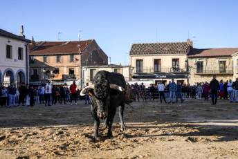 Fotogalería Fiestas San Sebastián Mártir en Villacastín 9 Fotografía: Miguel Angel Fernández