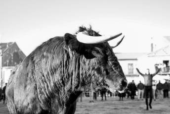 Fotogalería Fiestas San Sebastián Mártir en Villacastín 23 Fotografía: Miguel Angel Fernández