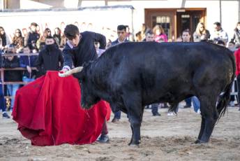 Fotogalería Fiestas San Sebastián Mártir en Villacastín 28 Fotografía: Miguel Angel Fernández