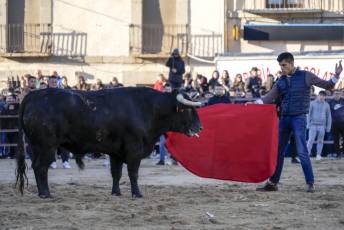 Fotogalería Fiestas San Sebastián Mártir en Villacastín 49 Fotografía: Miguel Angel Fernández