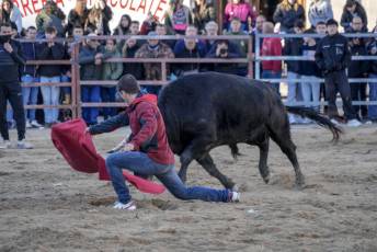 Fotogalería Fiestas San Sebastián Mártir en Villacastín 4 Fotografía: Miguel Angel Fernández