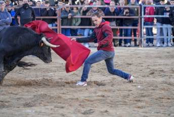 Fotogalería Fiestas San Sebastián Mártir en Villacastín 6 Fotografía: Miguel Angel Fernández