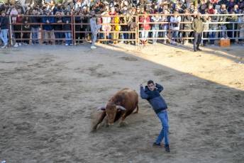 Fotogalería Fiestas San Sebastián Mártir en Villacastín 41 Fotografía: Miguel Angel Fernández