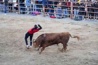 Fotogalería Fiestas San Sebastián Mártir en Villacastín 57 Fotografía: Miguel Angel Fernández
