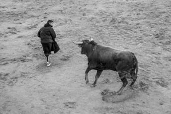 Fotogalería Fiestas San Sebastián Mártir en Villacastín 59 Fotografía: Miguel Angel Fernández