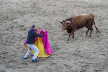 Fotogalería Fiestas San Sebastián Mártir en Villacastín 7 Fotografía: Miguel Angel Fernández