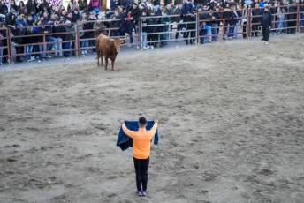 Fotogalería Fiestas San Sebastián Mártir en Villacastín 42 Fotografía: Miguel Angel Fernández