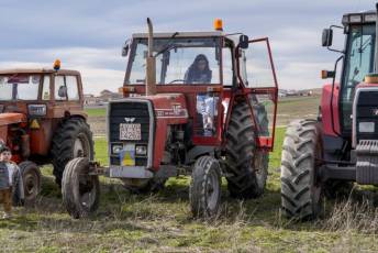 Fotogalería Concentración de Tractores Palagüinos 2025 31 Fotografía: Miguel Angel Fernández