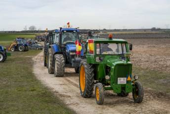 Fotogalería Concentración de Tractores Palagüinos 2025 38 Fotografía: Miguel Angel Fernández